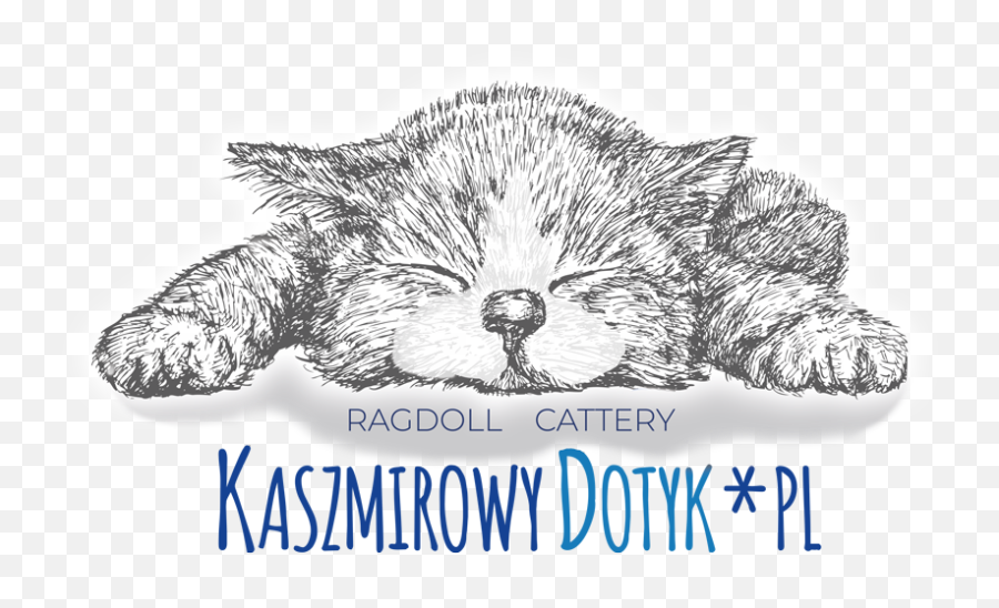 Ragdoll Cattery 2018 - Clear Stamps Animals Series Kitten Emoji,Ragdoll Logo