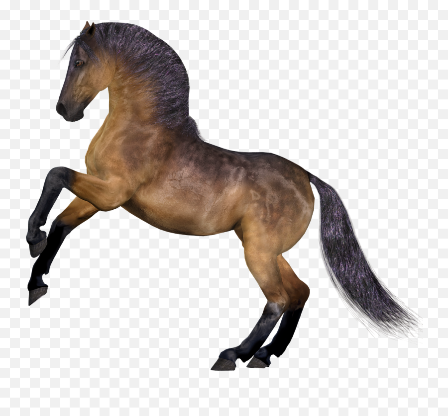 Horse Mane Horse Head Kuda Png Emoji,Kuda Png