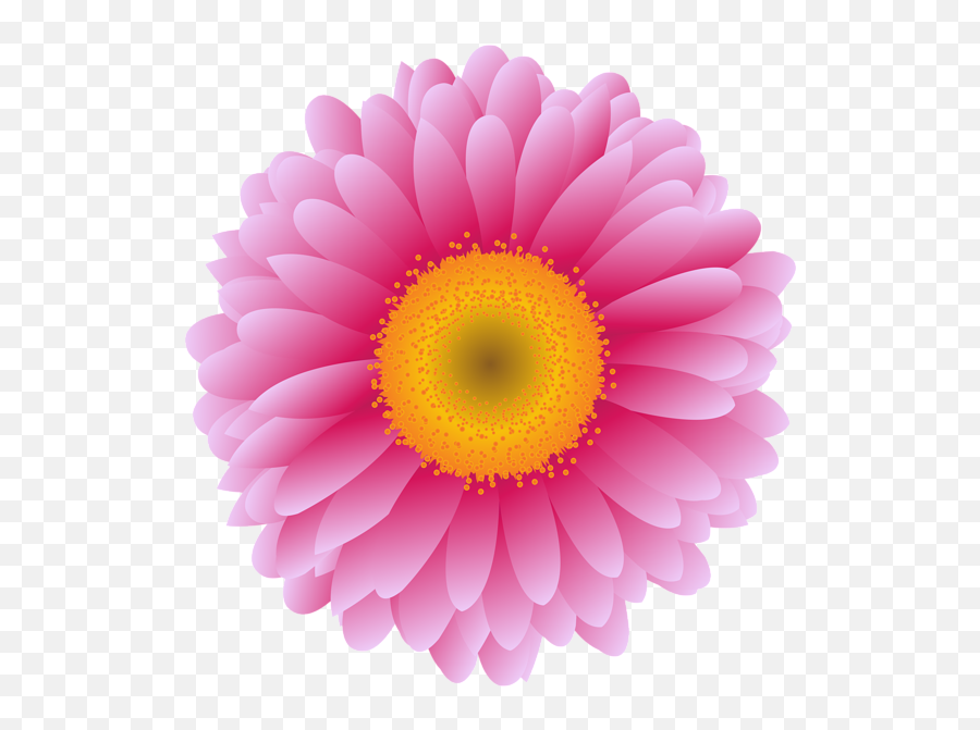 Pink Gerber Flower Png Clip Art Image In 2021 Flower Png Emoji,Black And White Flower Png