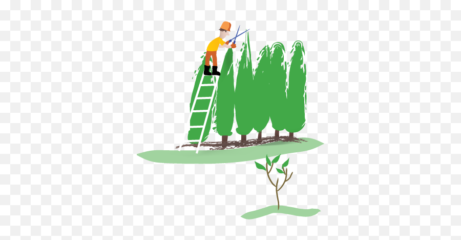 Heritage Tree Care - Professional Tree Care And Removal In Emoji,Hedge Clipart