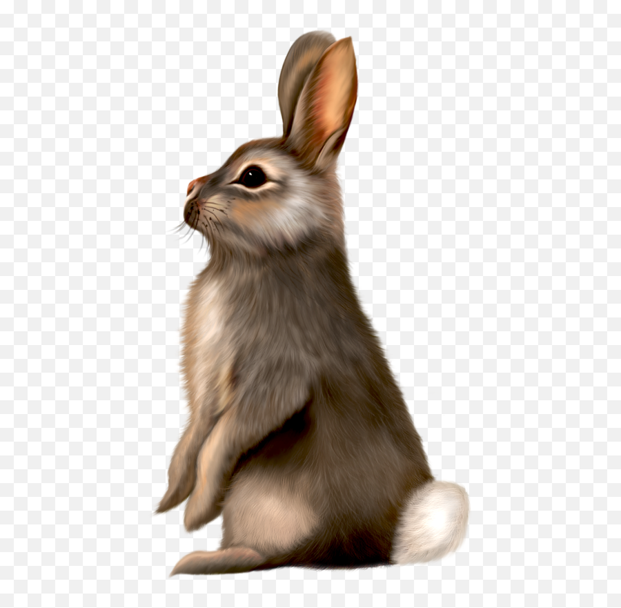 Picsart Png All Animal Transparent Png - All Animal Images Hd Emoji,Bunny Clipart
