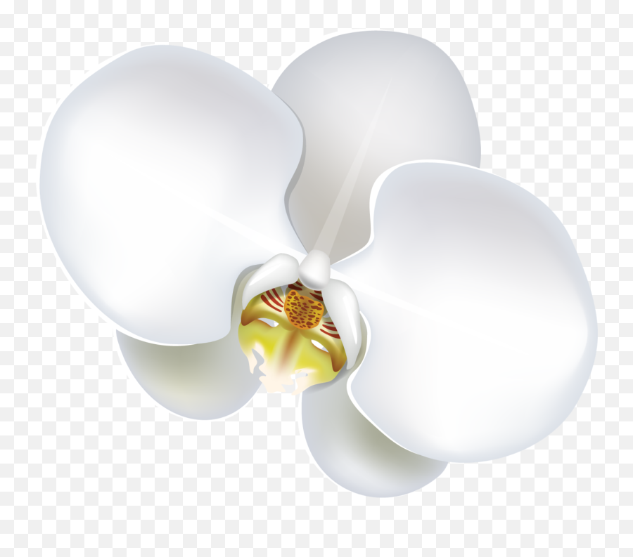 Orchid Cross Cliparts - Orchids Transparent Cartoon Jingfm Moth Orchid Emoji,Orchid Clipart