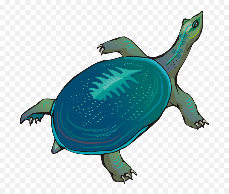 Free Turtle Clipart Emoji,Turtles Clipart