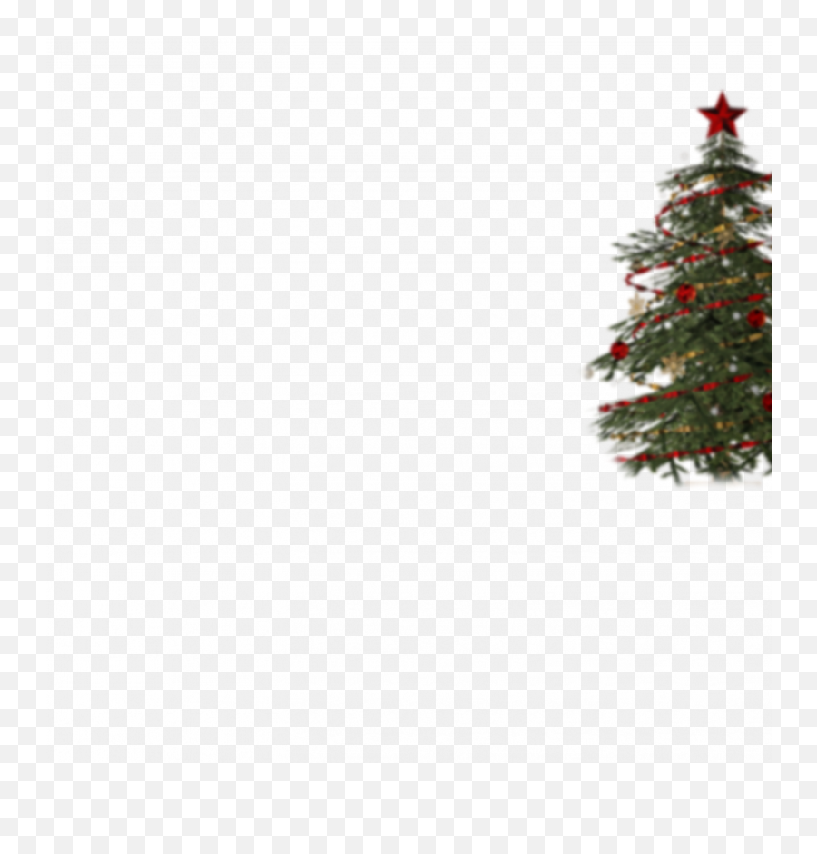 Merry Christmas Tree Png File - Transparent Png Tree Christmas Background Emoji,Christmas Tree Png