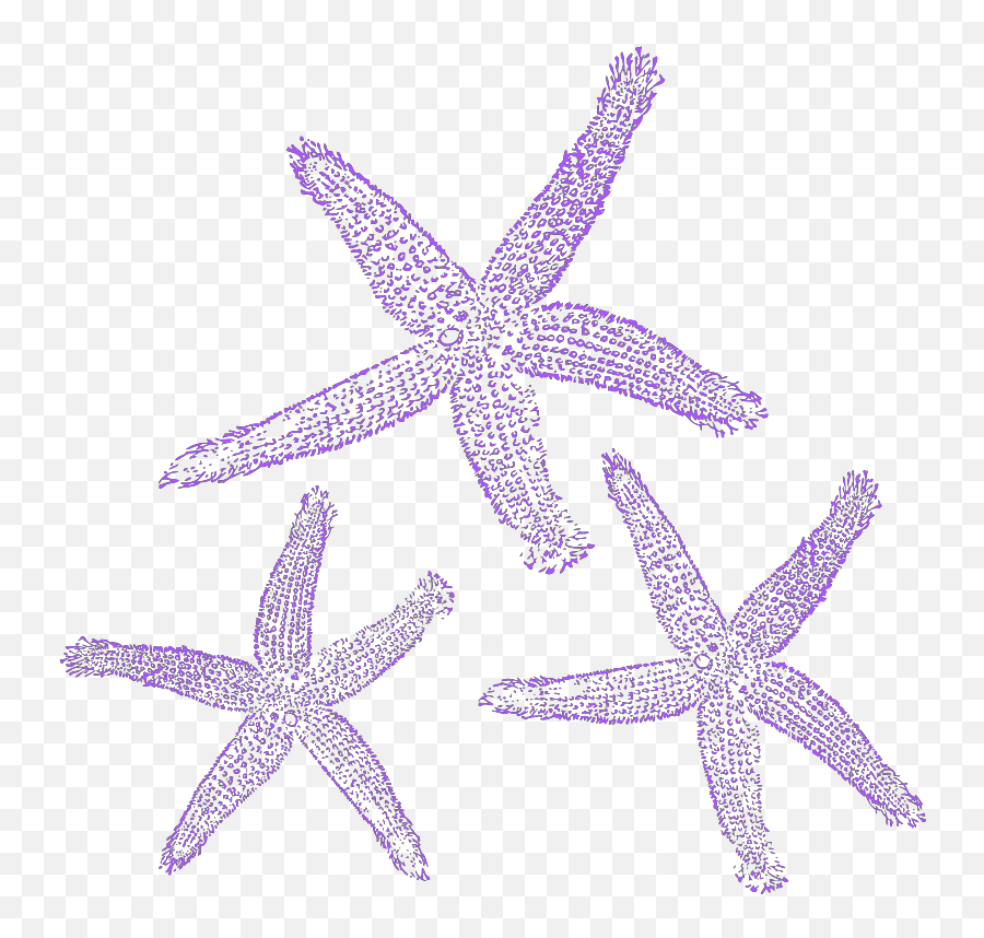 Starfish Svg Vector Starfish Clip Art - Svg Clipart Emoji,Starfish Clipart Png