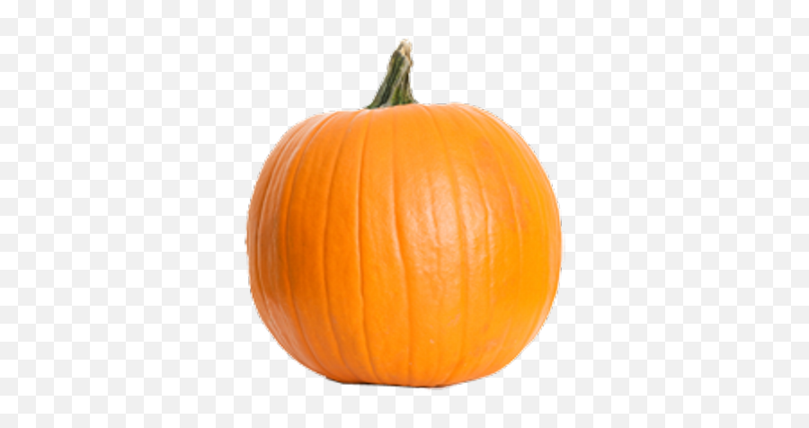 Pumpkin Png - Real Pumpkin Emoji,Pumpkin Transparent
