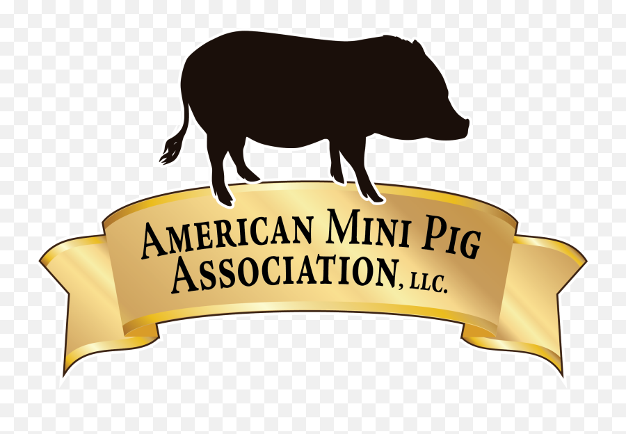 Short Logo Full Color On White Transparent Mini Pigs - Vietnamese Emoji,Pig Logo