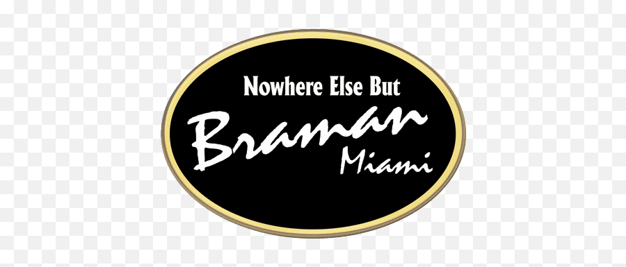 Braman Parts Online Miami Fl Florida Bmw Cadillac Mini Auto - T Birds Emoji,Bmw Logo