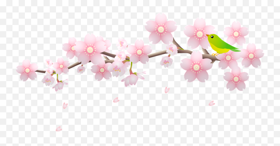 Cherry Blossom Bird Branch - Free Image On Pixabay Oleg The Oleg Group Emoji,Cherry Blossom Petals Png