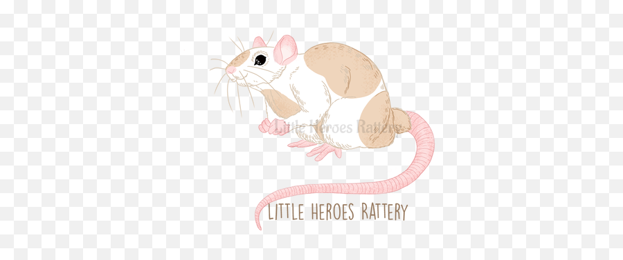 Adoption Application - Little Heroes Rattery Animal Figure Emoji,Rat Transparent Background