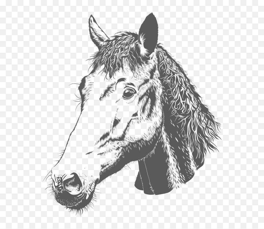 Horse Head Black And White Clipart Free - Laser Engraving Images Free Download Emoji,Unicorn Head Clipart Black And White