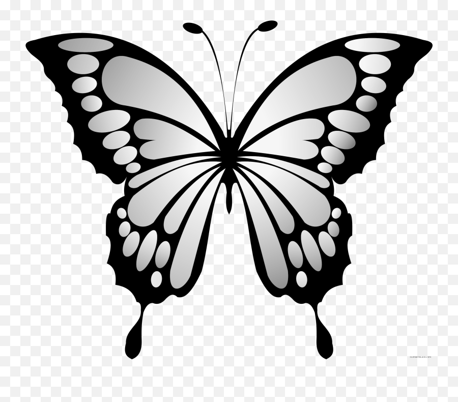 Wonderful Butterfly Animal Free Black - Colorful Butterfly Emoji,Butterfly Clipart Black And White