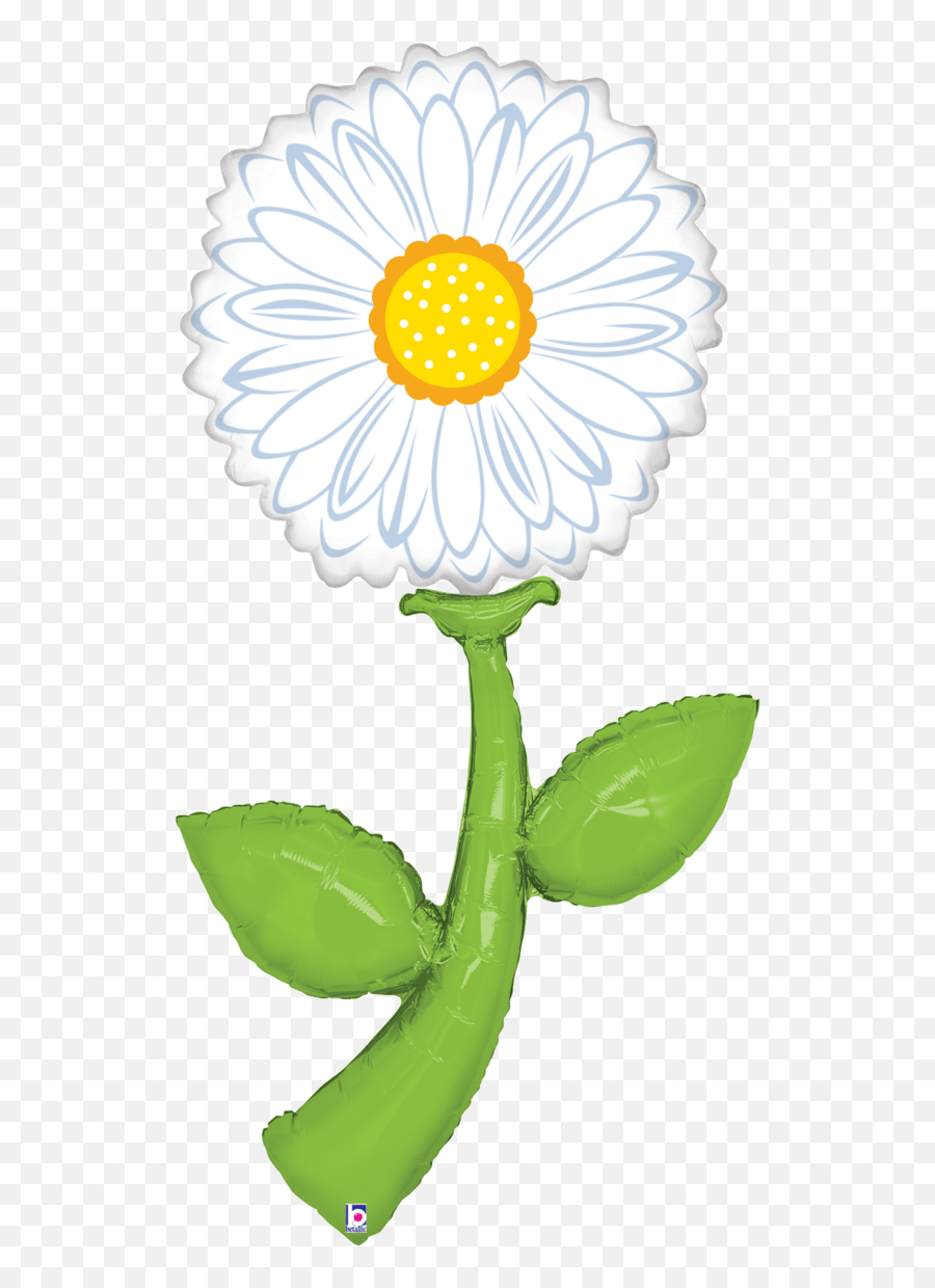 Fresh Picks White Daisy 60 Emoji,White Daisy Png