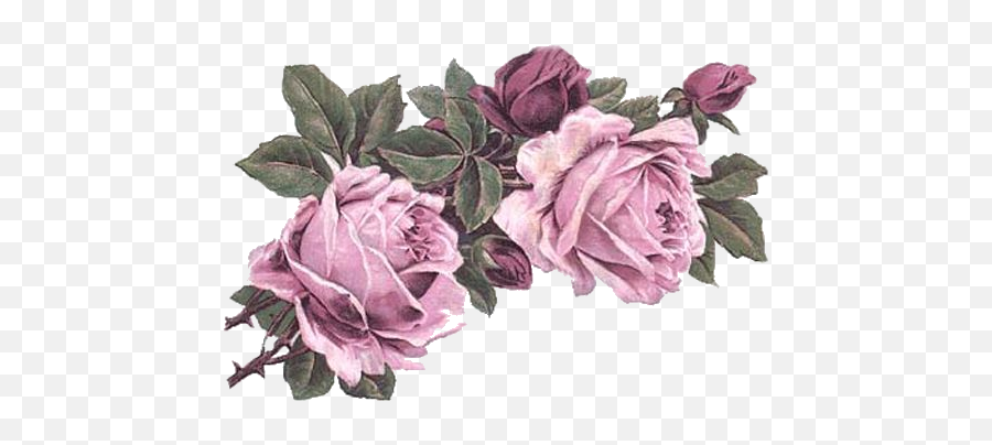 Rose Art Vintage Flowers Victorian Flowers Rose - Vintage Emoji,Vintage Rose Png