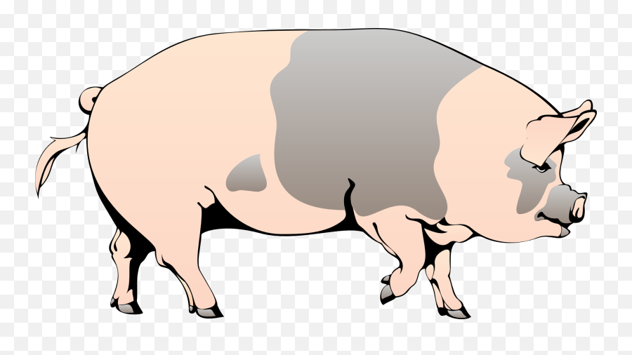 Vector Clip Art Online Royalty Free U0026 Public Domain Pig - Pig Walking Clipart Emoji,Pig Clipart