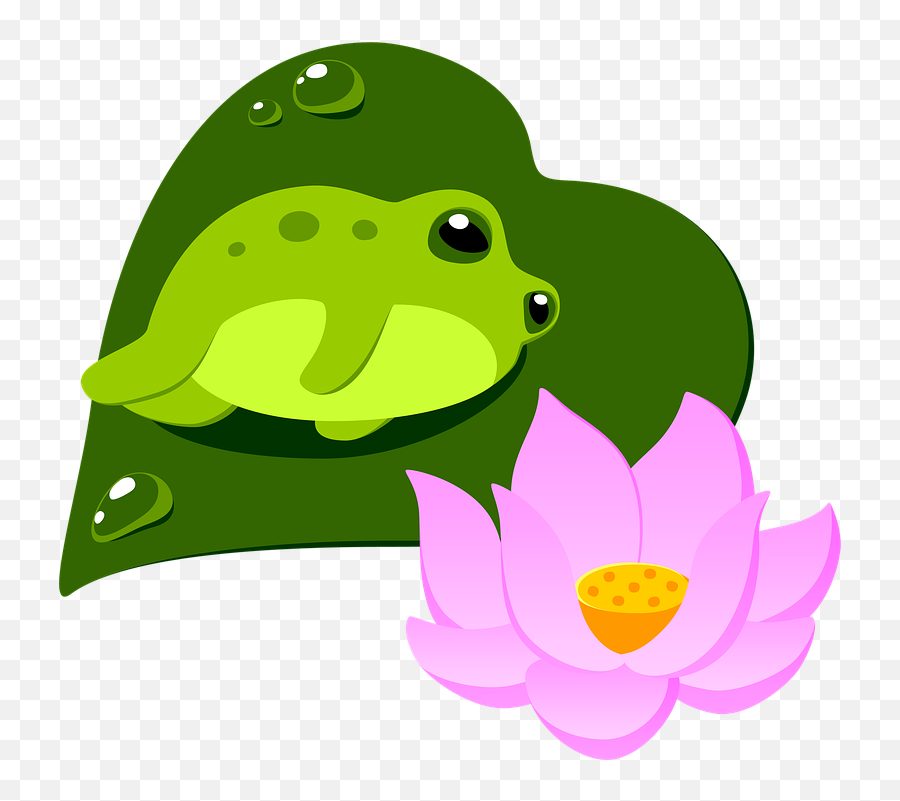 Free Photo Frog Sketch Cutout Clip Art Lotus Pond Toad - Max Emoji,Frog Jumping Clipart