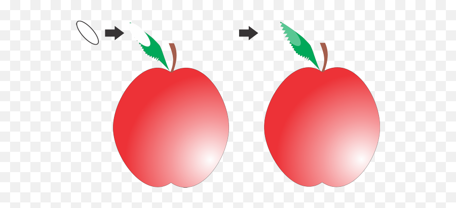 Draw An Apple U2013 John Sadlouskos Emoji,Picking Apples Clipart