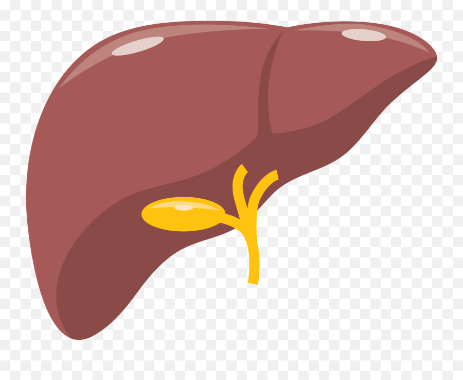 Liver Clipart - Liver Clipart Emoji,Liver Clipart