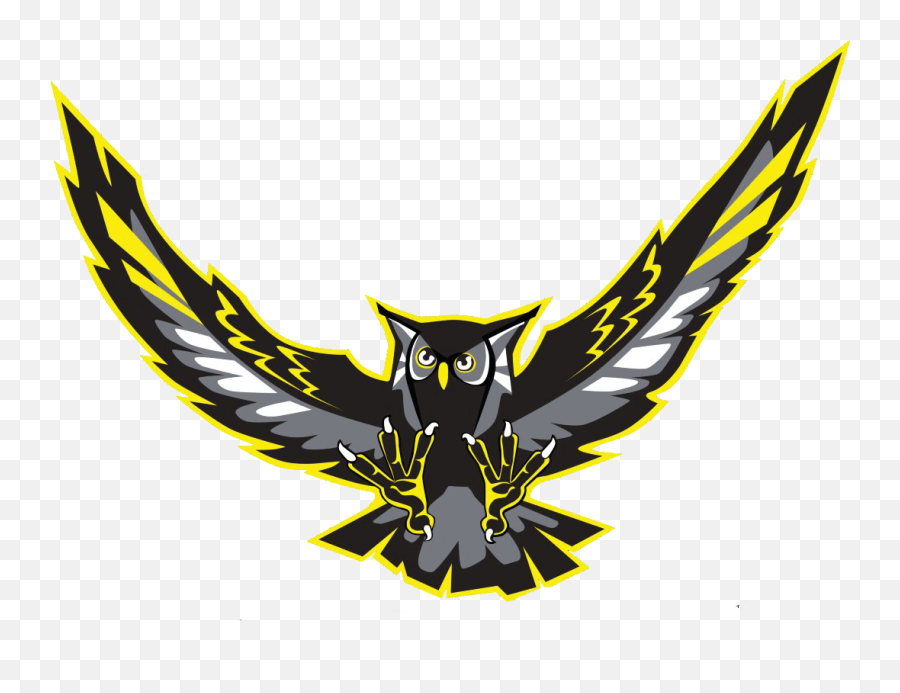Kss - Kss Owl Logo Emoji,Owl Logo