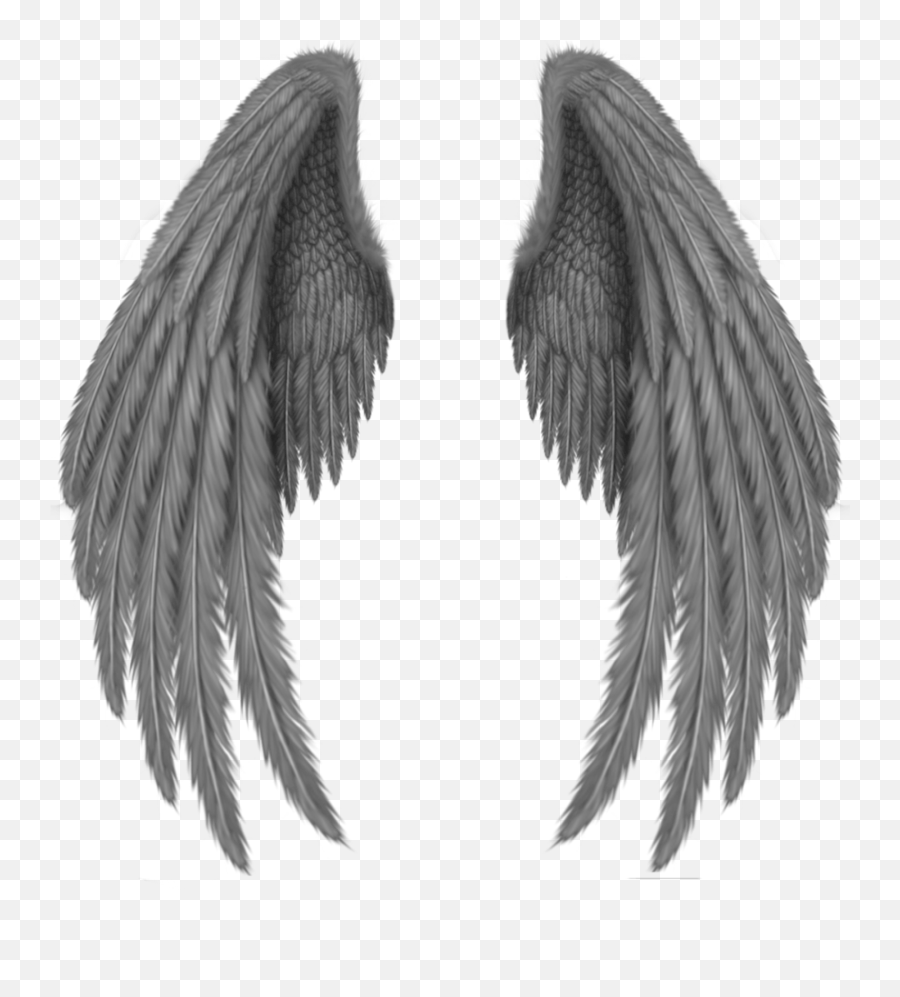 Alas Negras - Cb Wings Png Emoji,Angel Wings Transparent Background