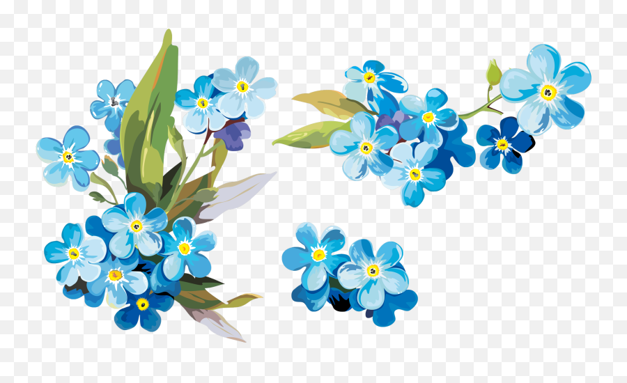 Forget Me Not Flowers Png U0026 Free Forget Me Not Flowerspng Emoji,Painted Flowers Png
