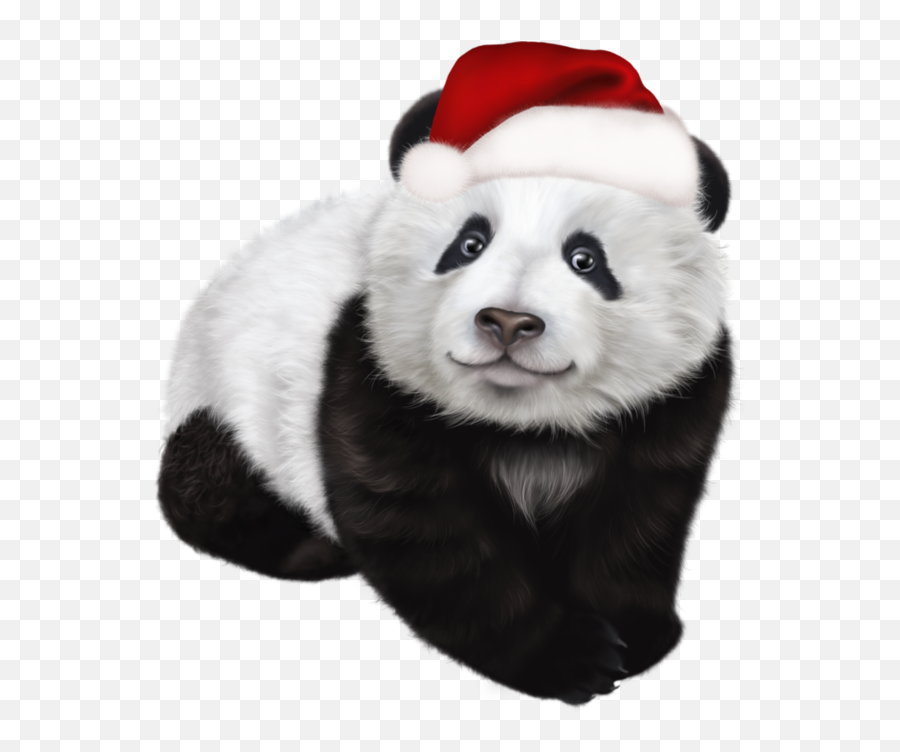 Giant Panda Red Panda Christmas Bear For Christmas - 714x799 Emoji,Red Panda Transparent