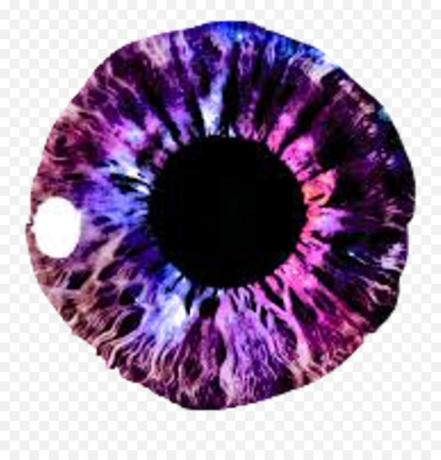 Blue Eye - Eye Transparent Png Original Size Png Image Ojo Iris Png Violet Emoji,Eyes Transparent