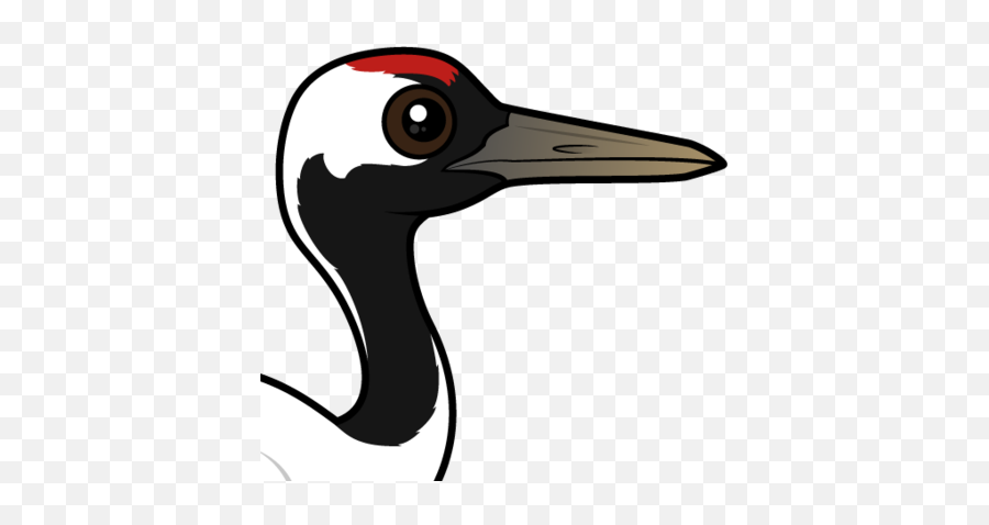Birdorable Learn Facts About The Red - Crowned Crane Birdorable Red Crowned Crane Emoji,Crane Clipart