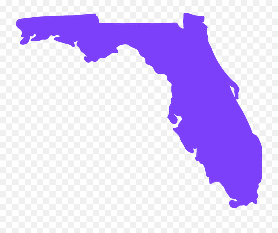 The South Got Something To Say A Celebration Of Southern - Florida Shape Emoji,Avenge The Fallen Png
