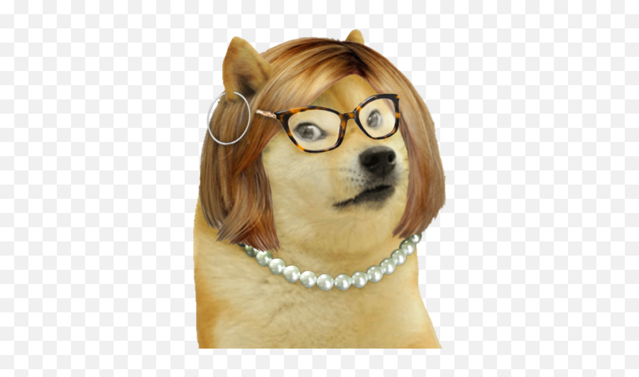 Karen Dogelore Wiki Fandom - Transparent Background Kid Doge Png Emoji,Meme Glasses Png