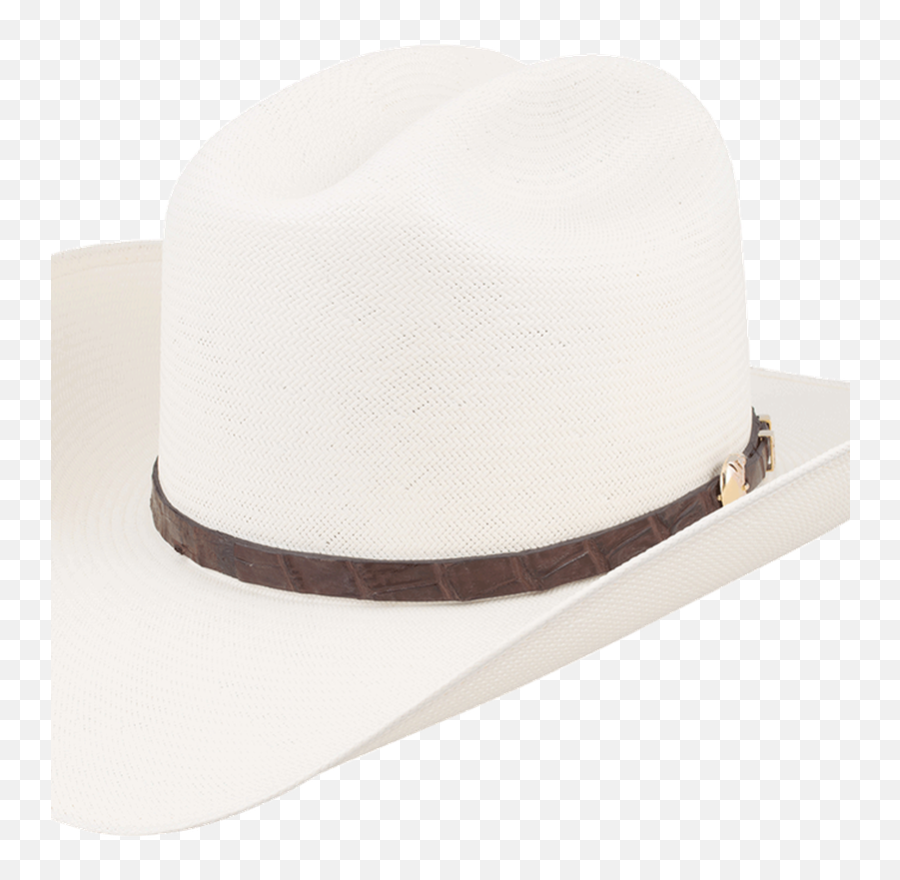 Stetson 1000x Evilla De Oro Straw Hat - Cowboy Hat Emoji,Rice Hat Png