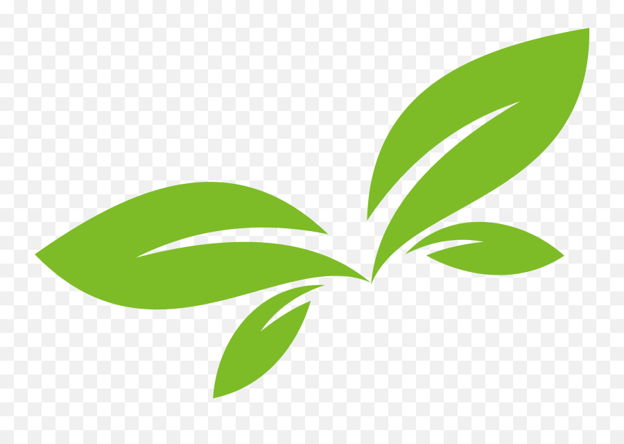 Botanical Vector Green Plant - Green Leaf Vector Png Clipart Emoji,Green Leaf Clipart