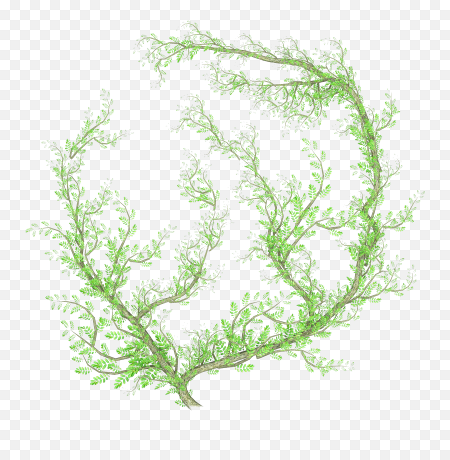 Seaweed Sticker By Cherigoodman59 Emoji,Seaweed Transparent Background