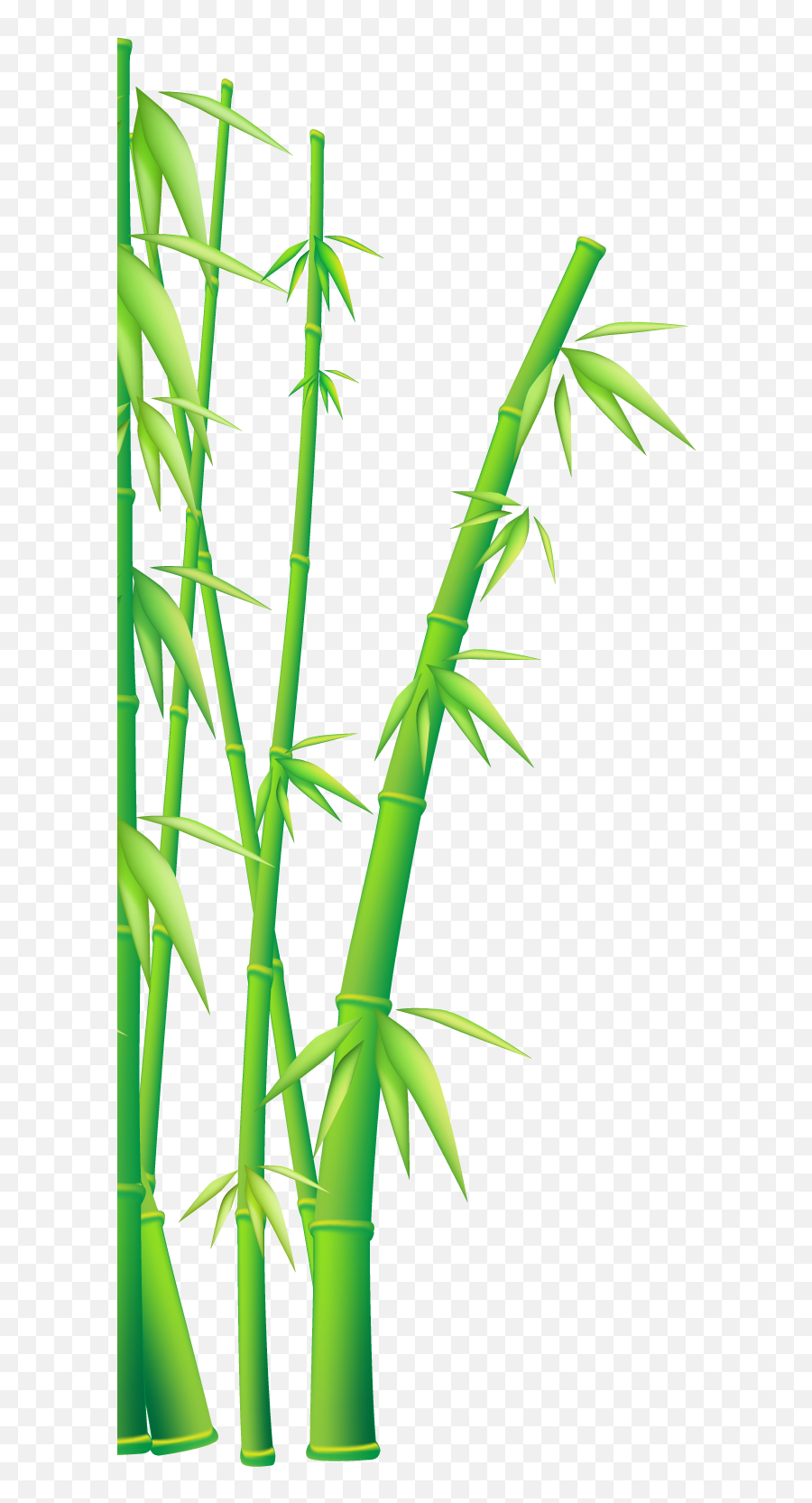 Bamboo - Bamboo Plants Clipart Png Emoji,Bamboo Clipart