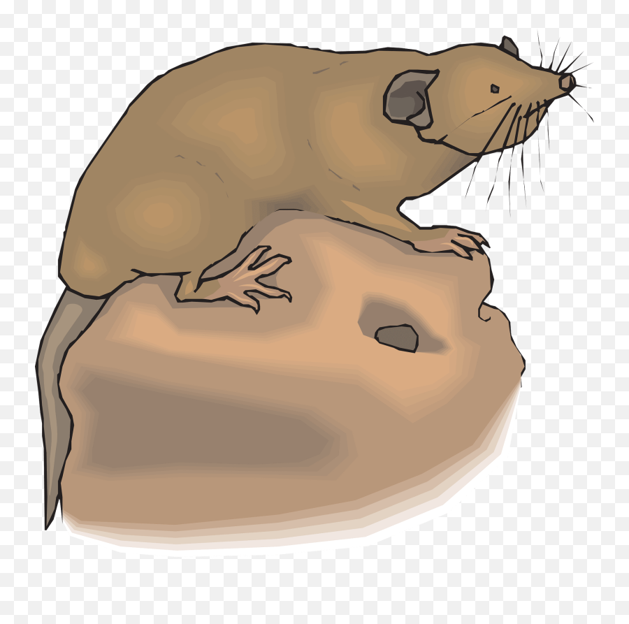 Hole Ground Animal - Free Vector Graphic On Pixabay Clip Art Emoji,Mole Clipart
