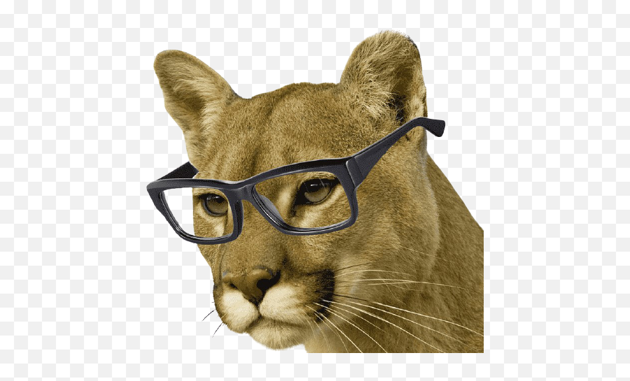 Jefferson Middle School - Free Wallpaper Cougar Emoji,Cougar Clipart
