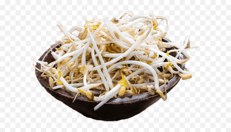 Bowl Of Soybean Sprouts Transparent Png - Transparent Bean Sprouts Png Emoji,Sprout Png