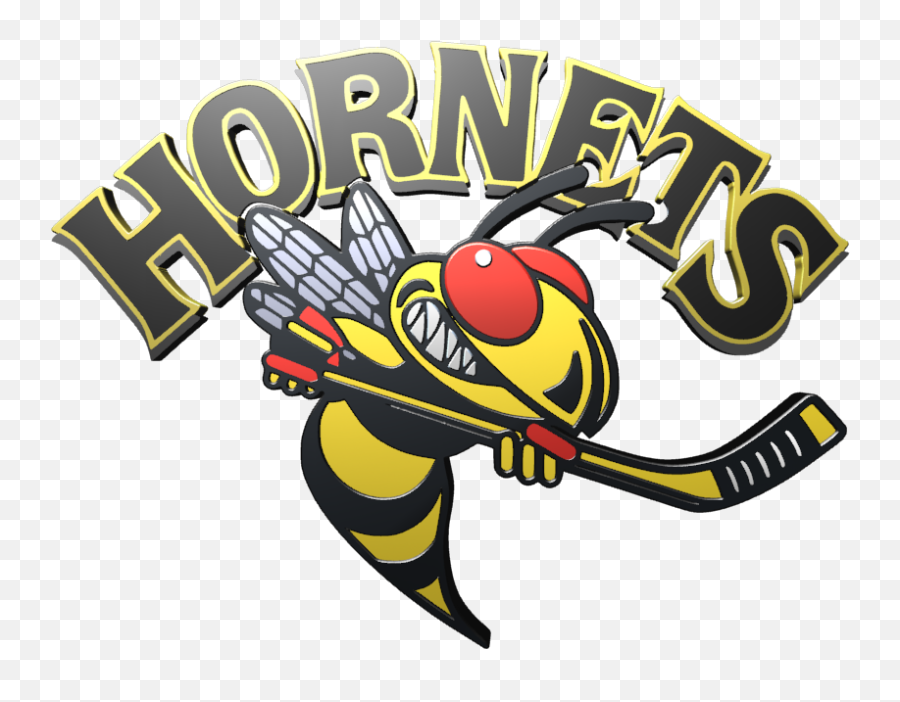 Langley Hornets 3d Logo U2013 Hockeytubenet Emoji,Hornets Logo Png