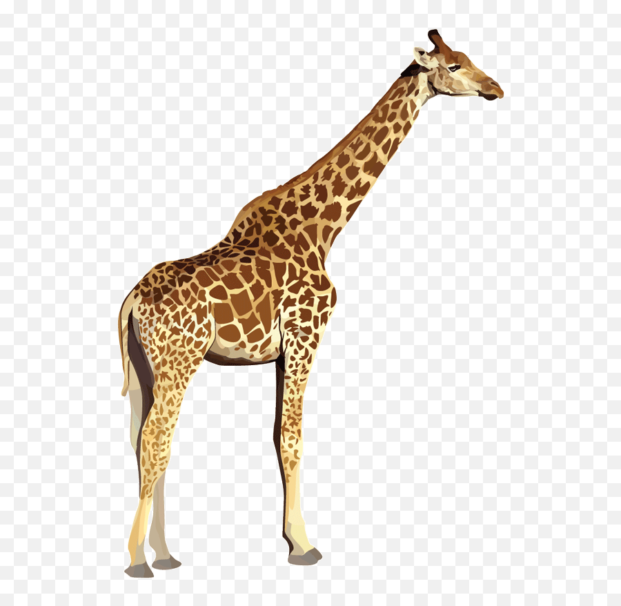 Free Zoo Animals Png Download Free Clip Art Free Clip Art - Transparent Background Animal Transparent Emoji,Zoo Animals Clipart