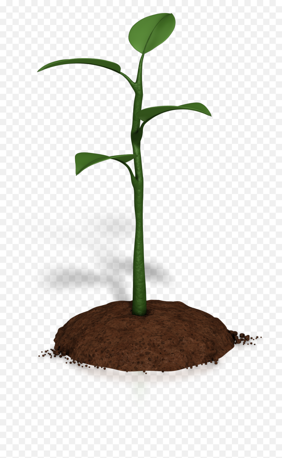 Soil Clipart Plant Growth - Plant Animations For Powerpoint Plant Grow Transparent Animated Gif Emoji,Soil Clipart