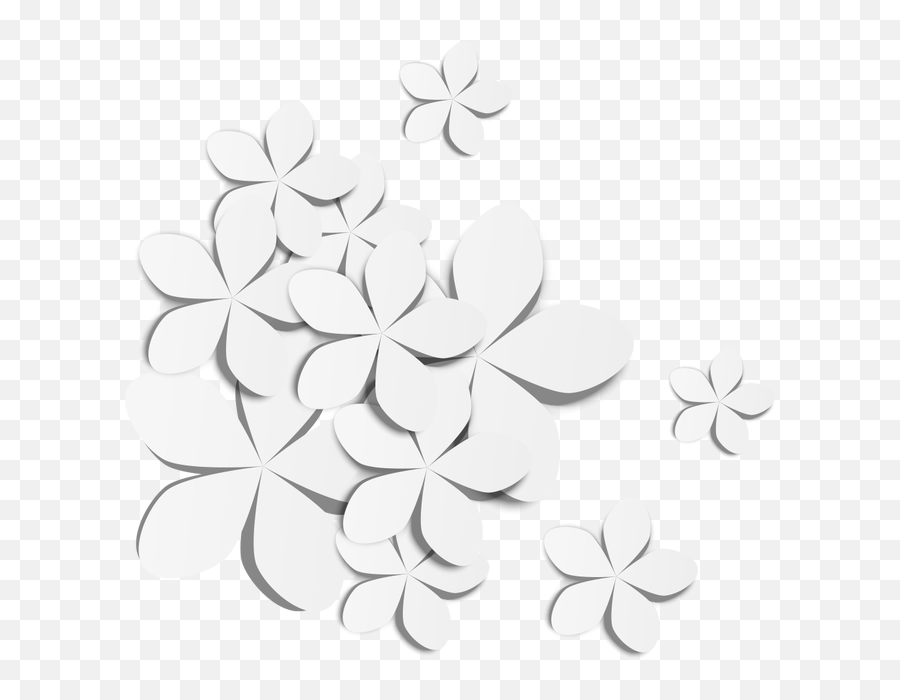 Download Hd White Flowers Transprent Png Free Download - Decorative Emoji,White Flower Png
