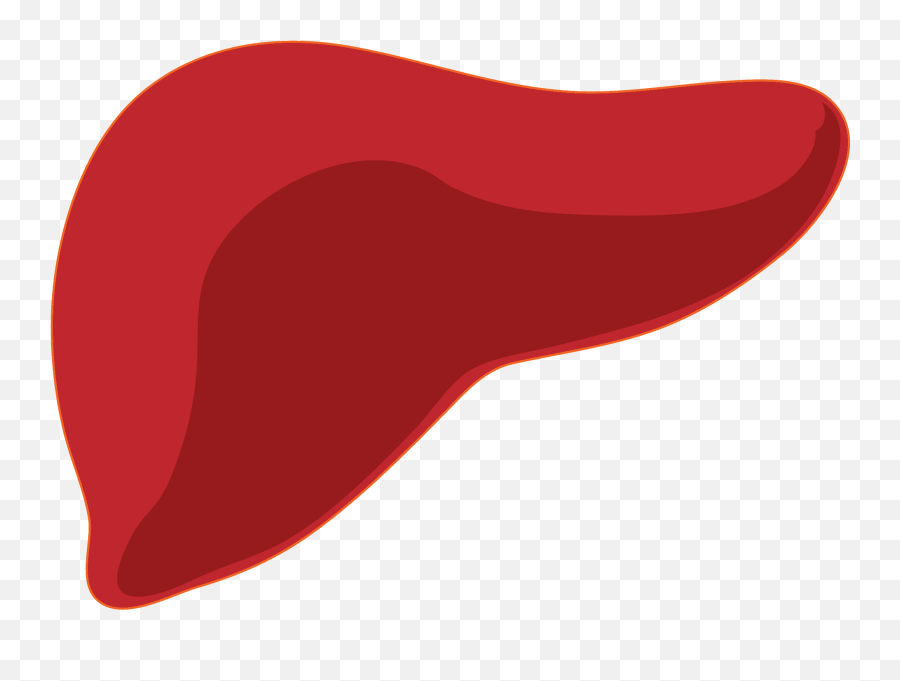 Picture - Liver Png Emoji,Liver Clipart