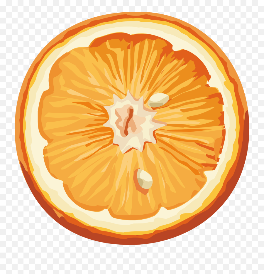 Orange Slice Png - Png Emoji,Orange Slice Png