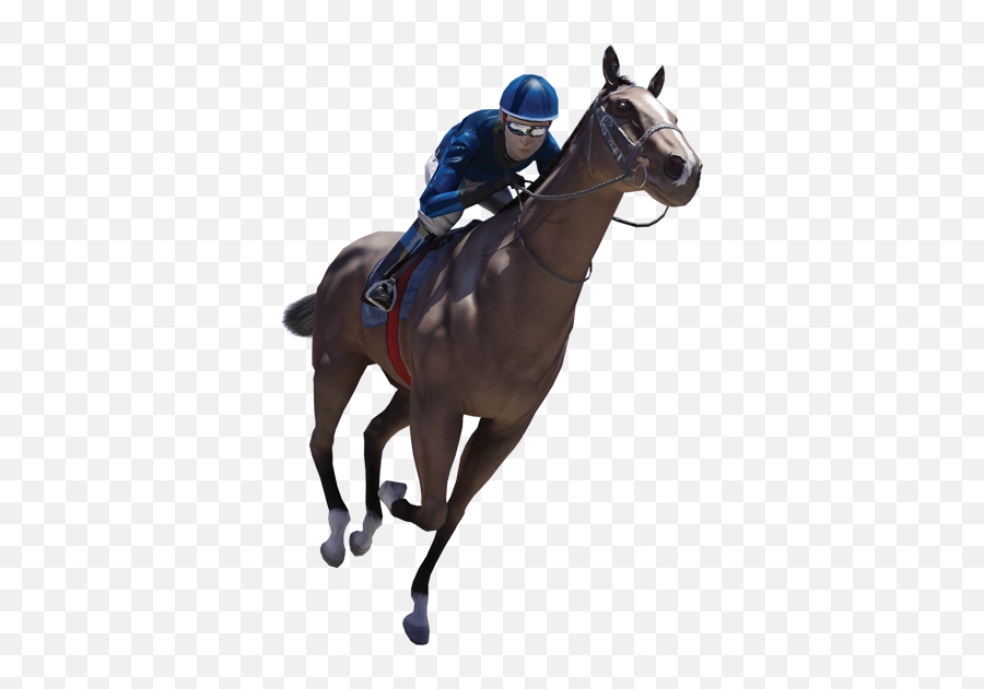 Product Showcase - Virtual Horse Racing Png Full Size Png Emoji,Racing Png