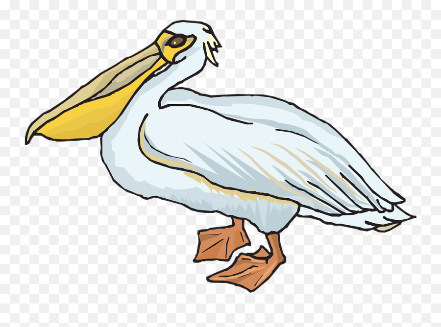 Pelican Png Emoji,Absent Clipart