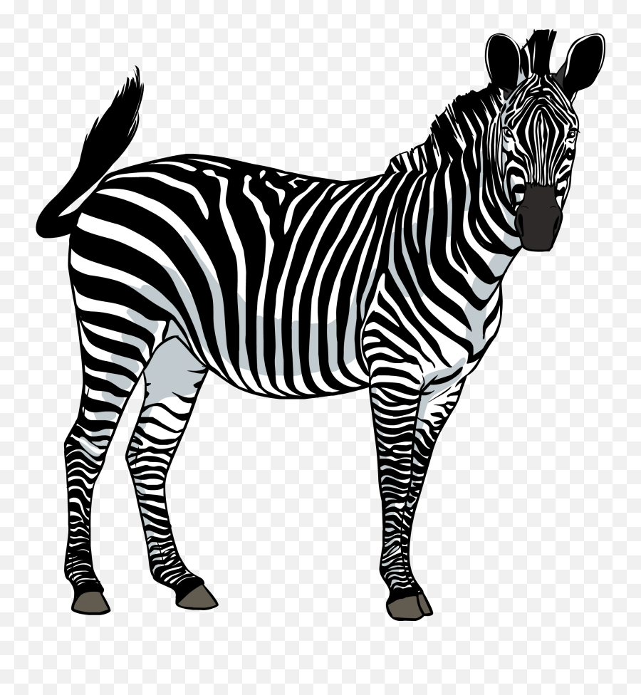 Zebra Png Images Transparent Background Emoji,Zebra Clipart
