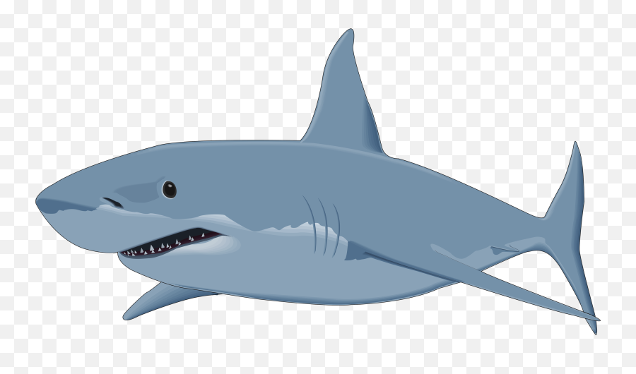 Shark Png - Clipart Images Of Shark Emoji,Shark Transparent