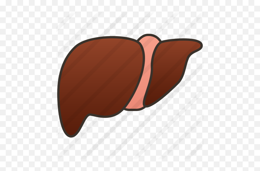 Liver Organ - Free Medical Icons Liver Emoji,Liver Png