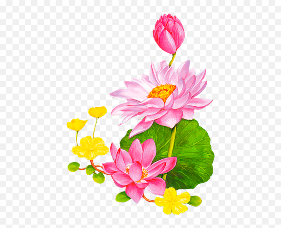 Png Background Lotus Vector Free - Clipart Lotus Flower Cartoon Emoji,Lotus Png