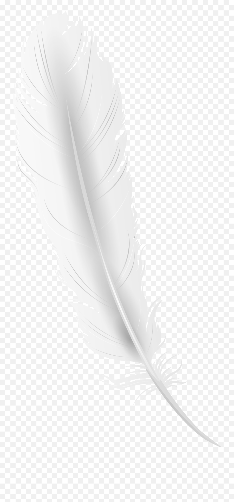 White Feather Clipart - Transparent White Feather Png Emoji,Feather Clipart